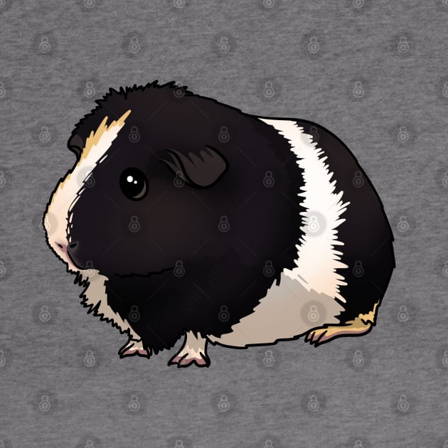 Tokyo the Guinea Pig by Kats_guineapigs